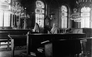 Image4